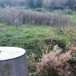 ����, ����, 36 ���