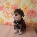 ���� �������, �����������, 60 ��� - ��������� 1 ������ 2024