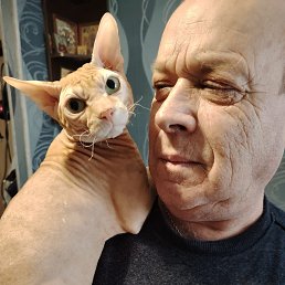 , 61, 