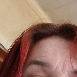 , , 52 