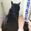 ���� �����������, ������������, 56 ��� - ��������� 30 ������ 2023