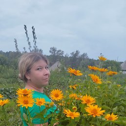 , 37, 