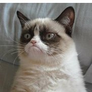 Дмитрий, 46 лет, Москва Дмитрий, 46 лет, Москва