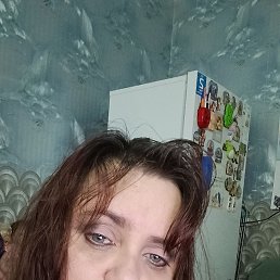 ���� �����, ���������, 41 ��� - ��������� 7 ������� 2026