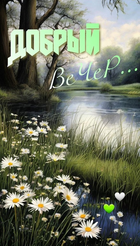   ,    . - 19  2025  16:38 - 2