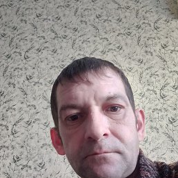 �����, ���������, 40 ���