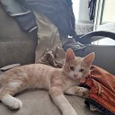 ���� ������, ������ - ��������� 25 ������ 2025 � ������ ������ ��������