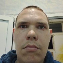 ������, ������, 41 ���