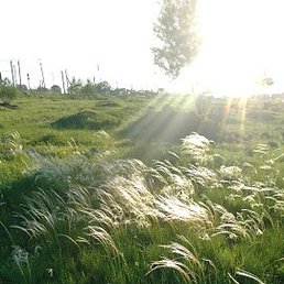 �����, ������, 57 ���