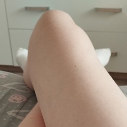 ���� ����, ���������, 42 ���� - ��������� 11 ������� 2025