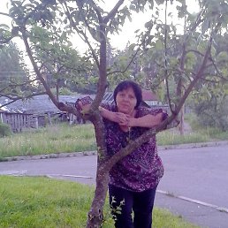 ������� 122 ��., ������, 55 ���