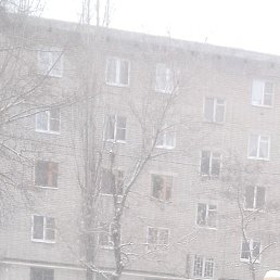 �������, �������, 47 ���