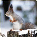 ���� ��������, ����, 60 ��� - ��������� 24 ���� 2025