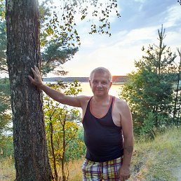 , 55, 