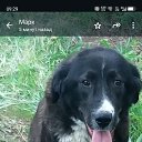 ���� ����, ������-��-����, 37 ��� - ��������� 16 ������� 2025 � ������ ���� ����������