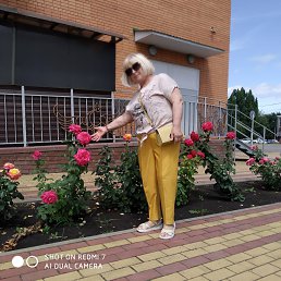 ���� �����, ������� - ��������� 10 ������� 2025