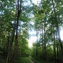 ���� O!, ������, 67 ��� - ��������� 13 ������ 2026 � ������ ����������