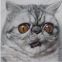  , -, 54  -  28  2023    