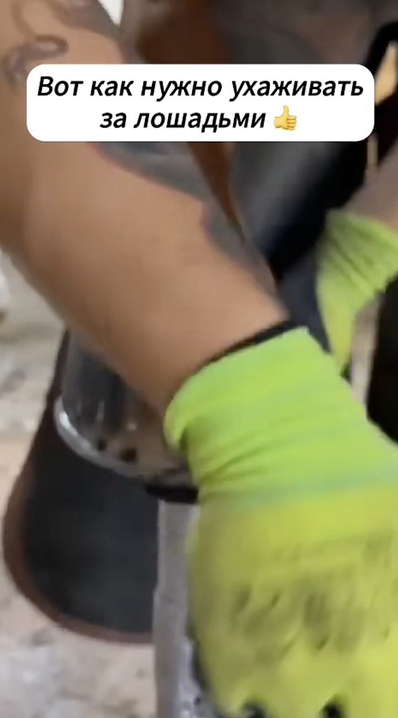 ����� ������������ �������.�������� - 2