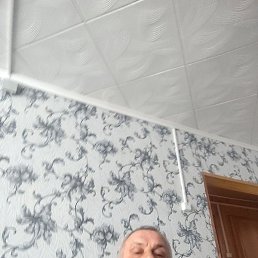 ����, �������������-����������, 56 ���