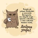 ���� �����, ���������, 38 ��� - ��������� 18 ������ 2026 � ������ ������ ��������