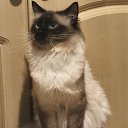 ���� Tina*, �������, 55 ��� - ��������� 23 ������ 2025 � ������ ������ ��������