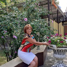 ���� ����, ���������, 37 ��� - ��������� 30 ������� 2023