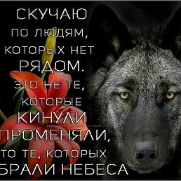 ������, ��������, 35 ���