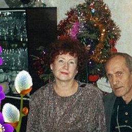 ������, �������, 79 ���