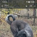 ���� ����, ������-��-����, 58 ��� - ��������� 18 ������ 2026 � ������ ���� ����������