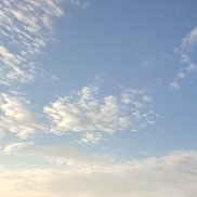 �������, 39 ���, ����