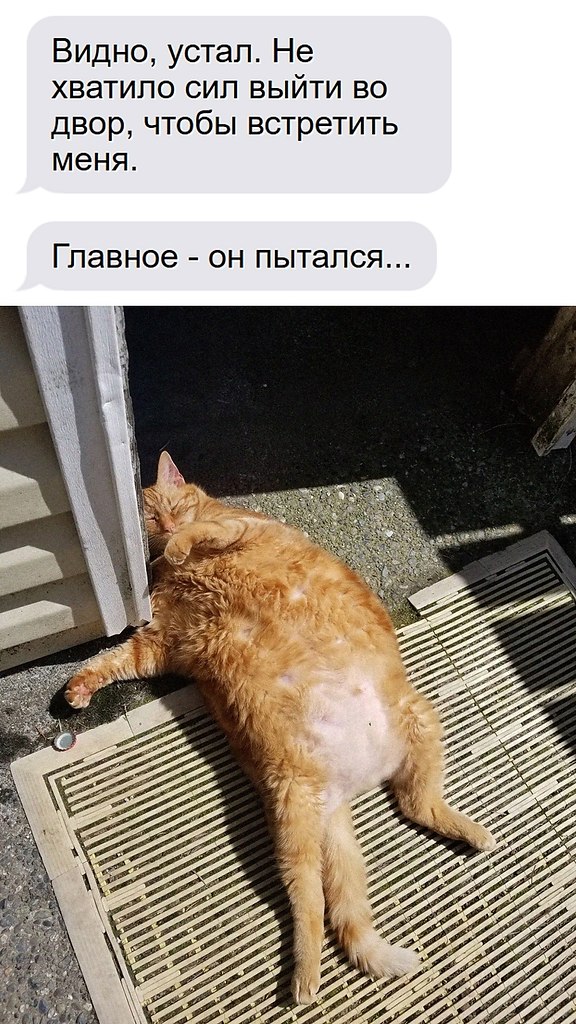 ��� �������� �������� - 29 �������� 2026 � 12:23