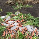 ���� C������, �������� - ��������� 6 ������� 2025 � ������ ���� ����������