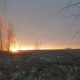 ����, ������, 46 ���