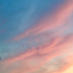 �������, ������, 24 ����