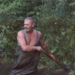 ����, ������, 54 ����