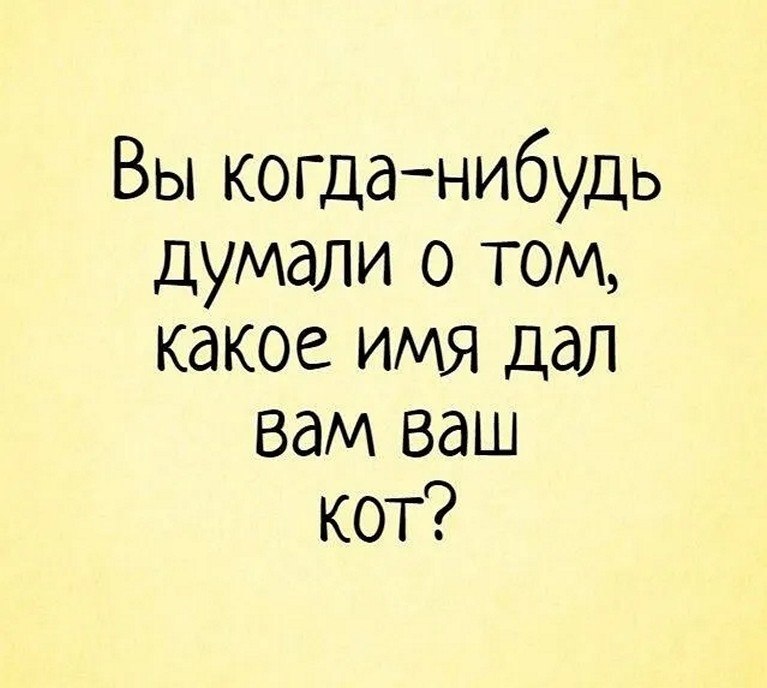 ☆ ☆ - 17  2025  00:16