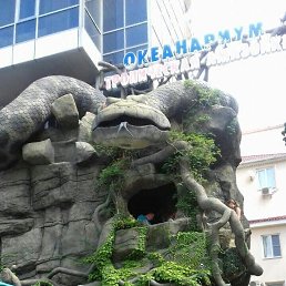 ���� ������, ������, 45 ��� - ��������� 6 ������ 2024