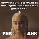  ,  -  2  2025    
