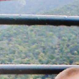 �������, ��������, 54 ����