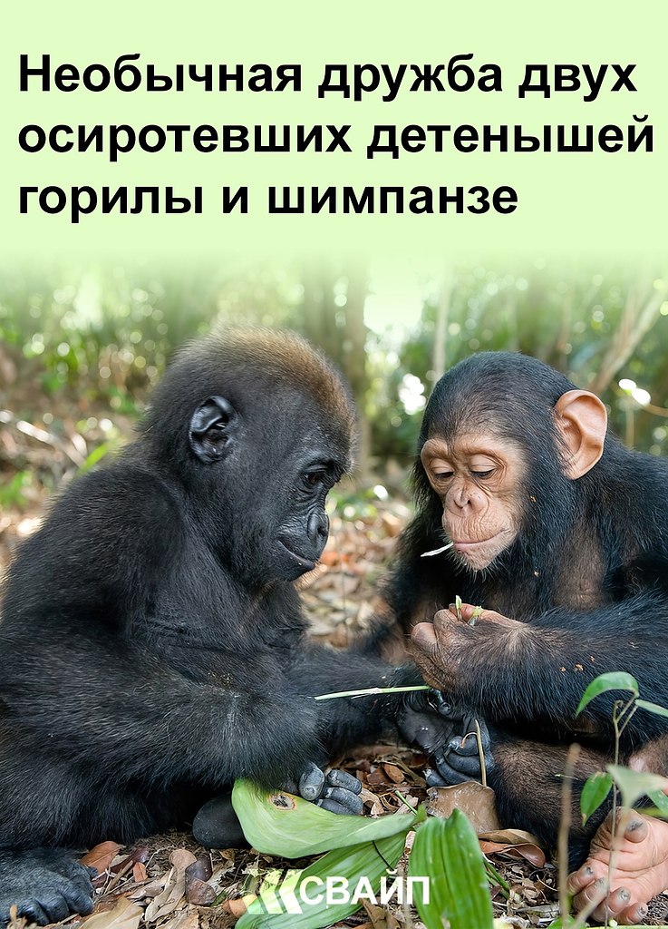   .   ,         ,  ...