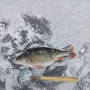 ���� ���������, ������, 69 ��� - ��������� 6 ������ 2025 � ������ ���� ����������