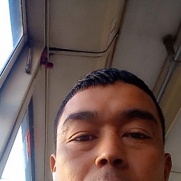 , 36, 