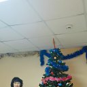 ���� �����, ��������, 65 ��� - ��������� 24 ���� 2025 � ������ ���� ����������