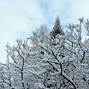 ���� ���������, ������, 74 ���� - ��������� 6 ������ 2025 � ������ ���� ����������