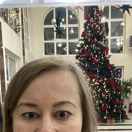 ���� ��������, ���������, 42 ���� - ��������� 22 ����� 2026