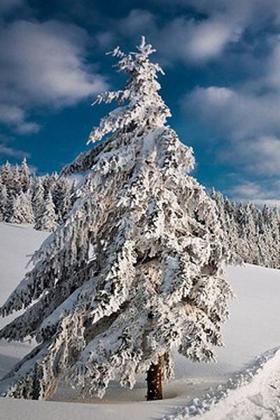 Изведать то, чего не ведал сроду, Глазами, ртом и кожей пить простор... Кто в океане видит только ... - 4