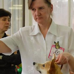 ��������, ��������, 65 ���