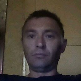 ������, �������, 45 ���