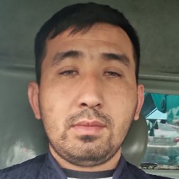 ��������, �������, 31 ���